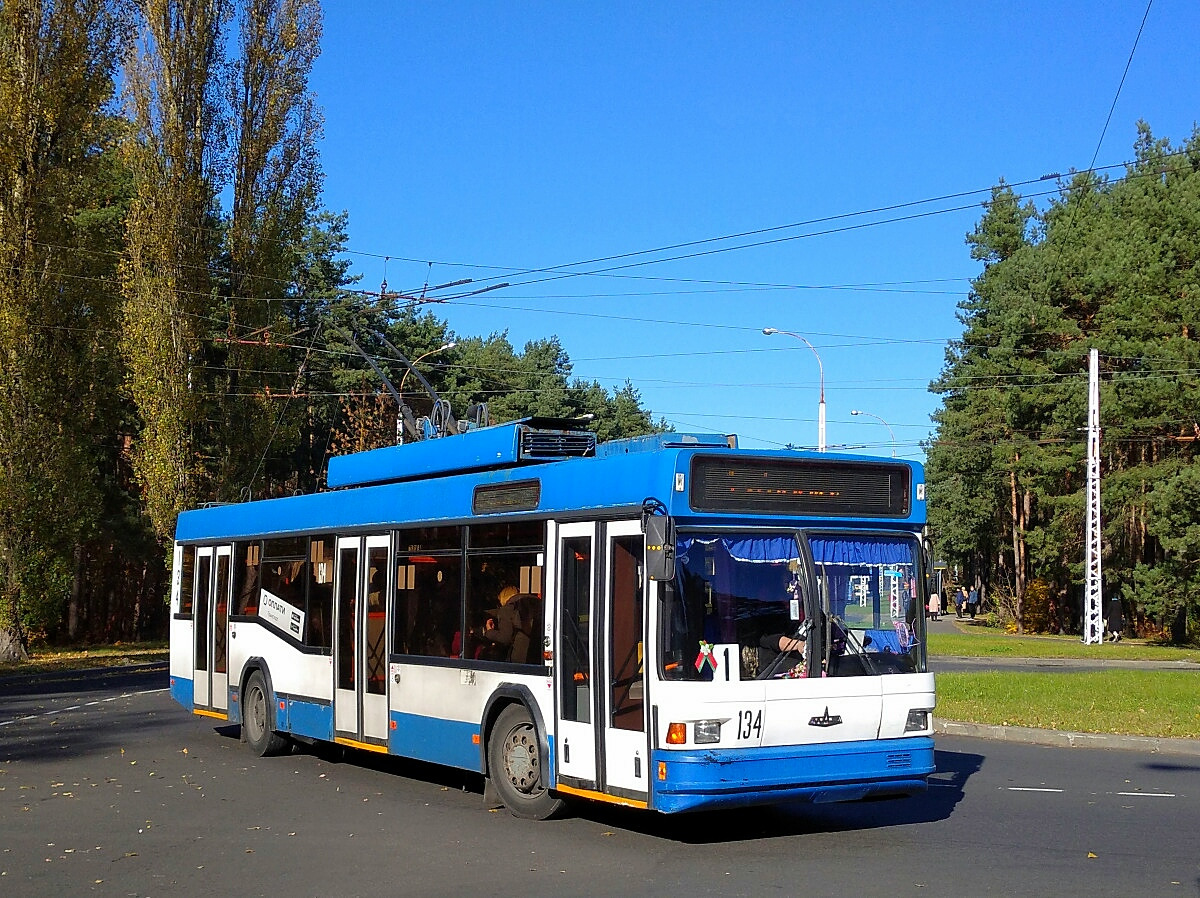 Брест, БКМ 221 № 134