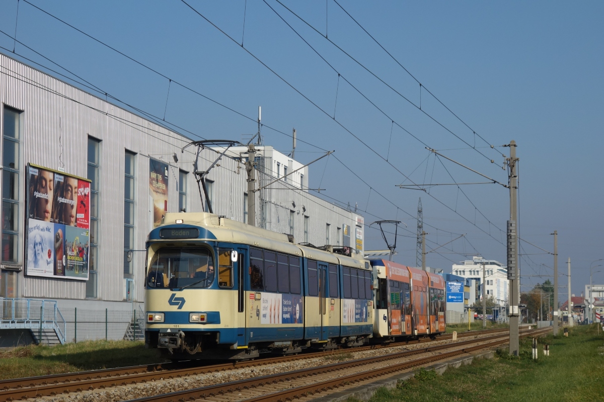 Viena, SGP 100 nr. 4-101