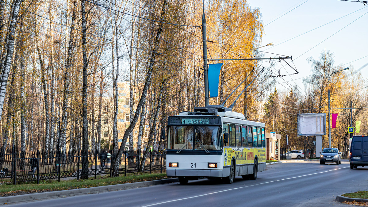 維德諾耶, VMZ-5298.00 (VMZ-375) # 21