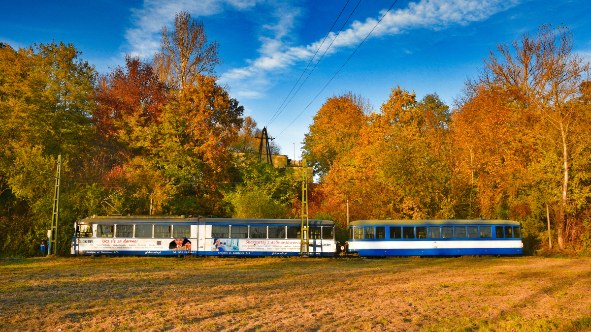 Краков, SGP Type E1 № HW130; Краков, Lohner Тype c3 № HB530