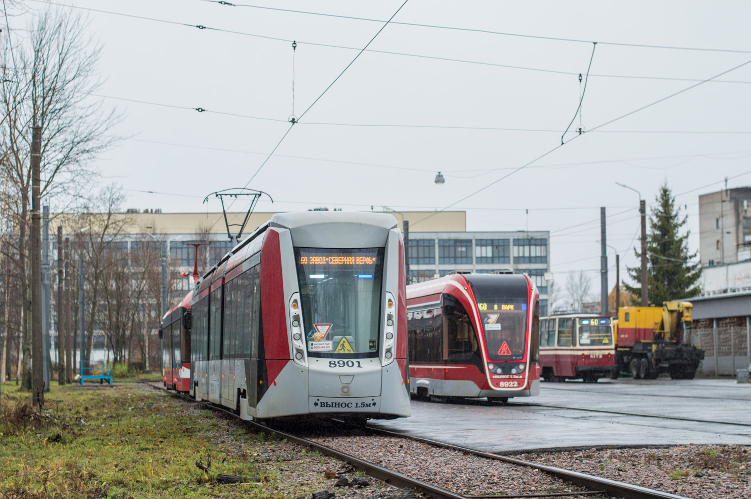 Санкт-Петербург, 71-801 (Alstom Citadis 301 CIS) № 8901