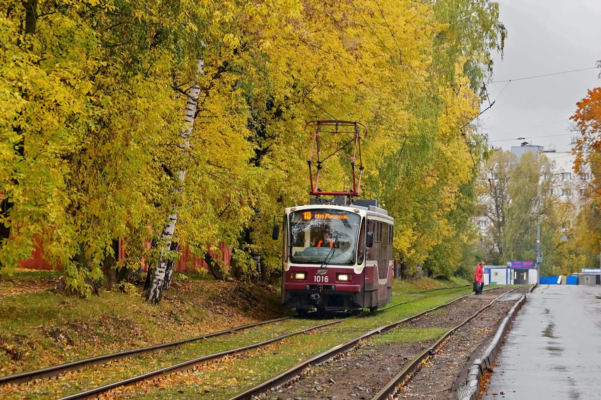 Žemutinis Naugardas, 71-407 nr. 1016