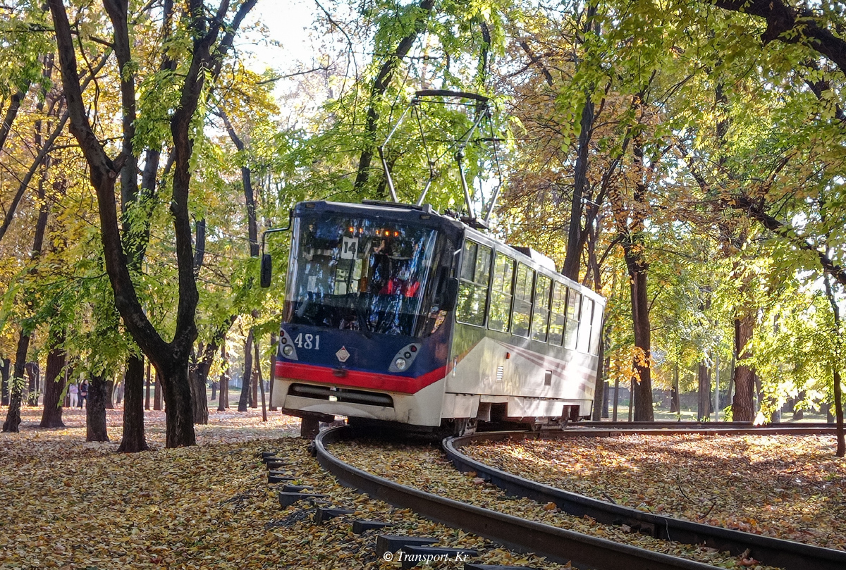 Krzywy Róg, K1 Nr 481