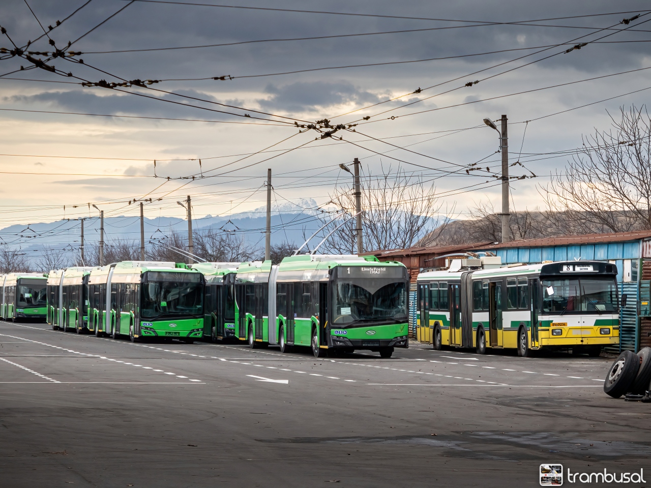 Брашов, Solaris Trollino IV 18 Medcom № 2031; Брашов, Solaris Trollino IV 18 Medcom № 2038; Брашов, FBW/Hess/BBC-SAAS 91GTS № 131