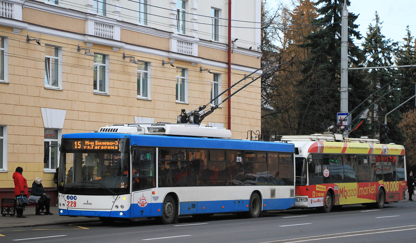 Vitebsk, MAZ-203T70 № 229
