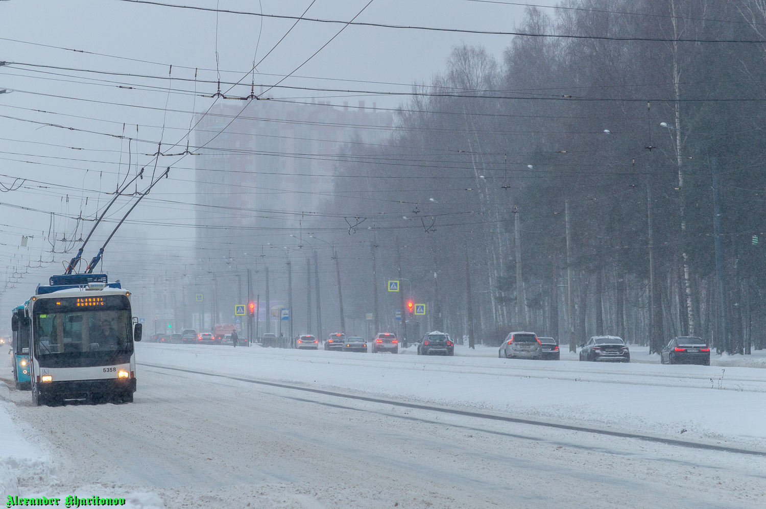 Санкт-Петербург — Трамвайные линии и инфраструктура; Санкт-Петербург — Троллейбусные линии и инфраструктура Санкт-Петербург — Трамвайные линии и инфраструктура; Санкт-Петербург — Троллейбусные линии и инфраструктура
