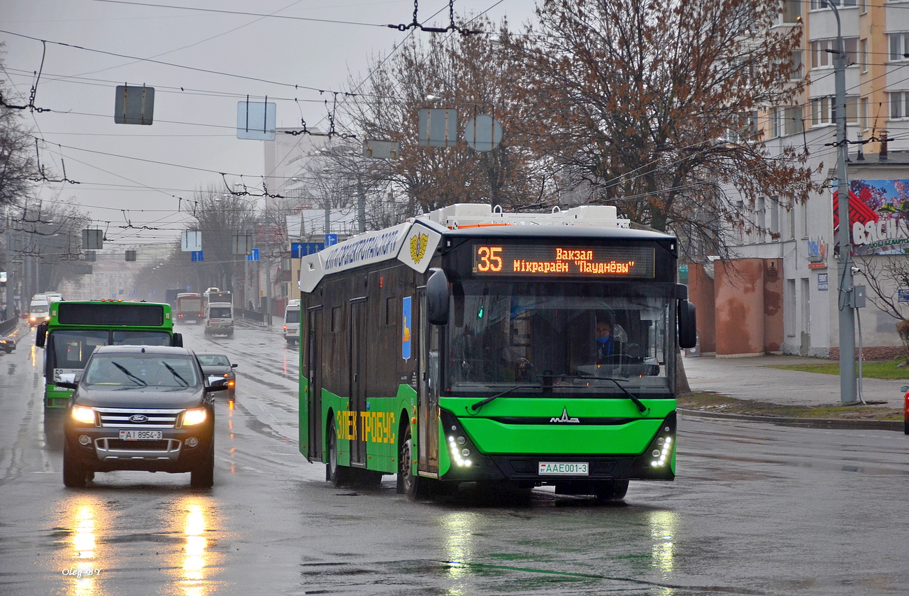 Гомель, МАЗ-303Е10 № 1858