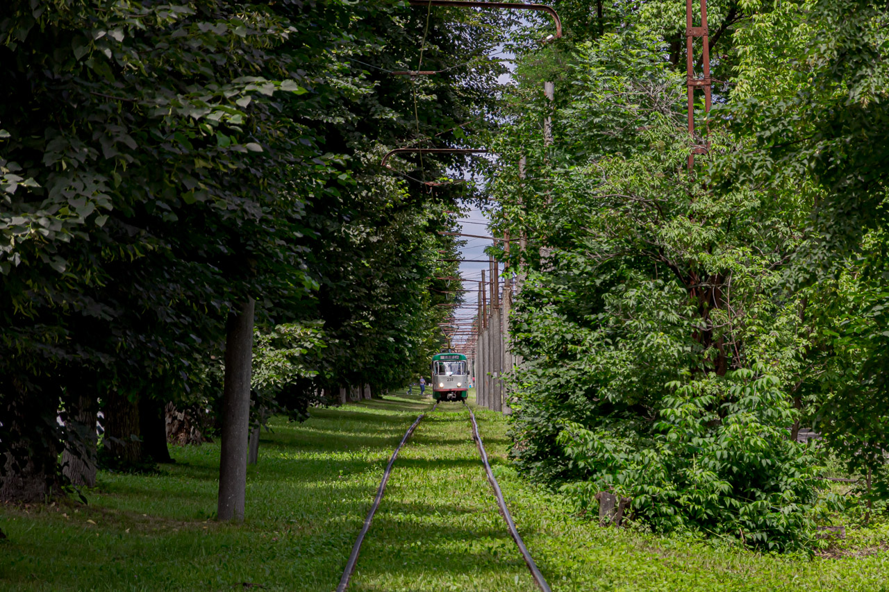 弗拉季卡 夫卡茲 — Various photos &mdash; tramway