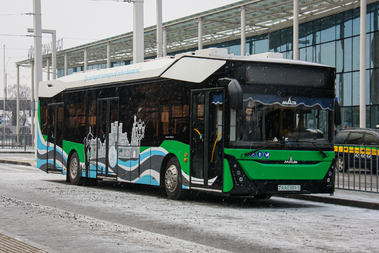 Brest, MAZ-303E10 № 160