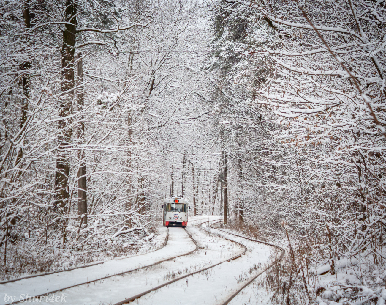 Киев — Трамвайные линии: Подольская сеть — север