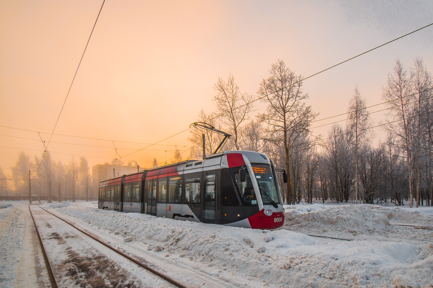 Санкт-Петербург, 71-801 (Alstom Citadis 301 CIS) № 8900