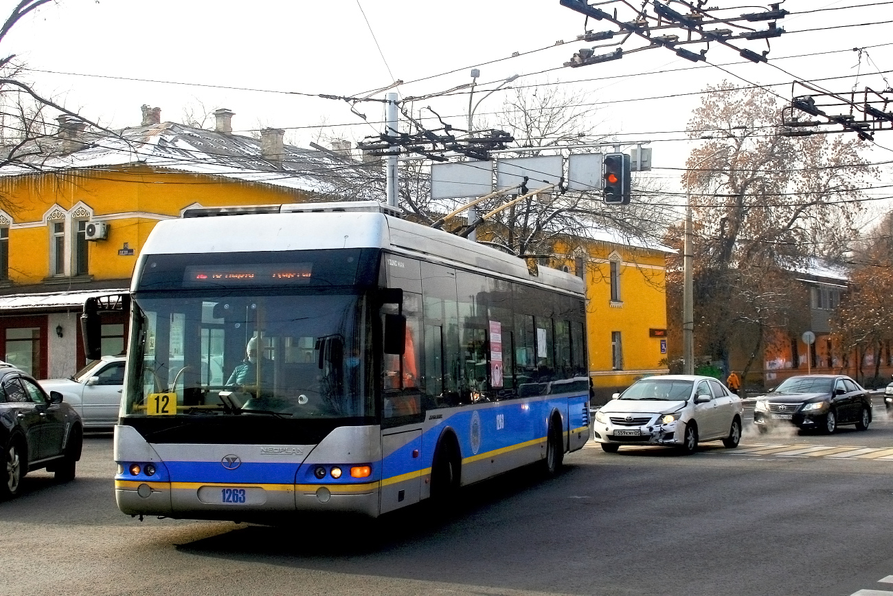 Алматы, YoungMan JNP6120GDZ (Neoplan Kazakhstan) № 1263