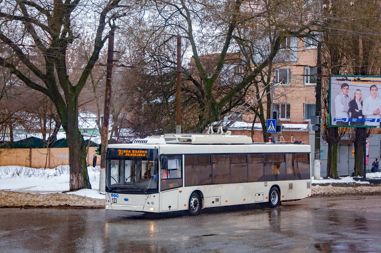 Kropyvnytskyi, Dnipro T203 # 123