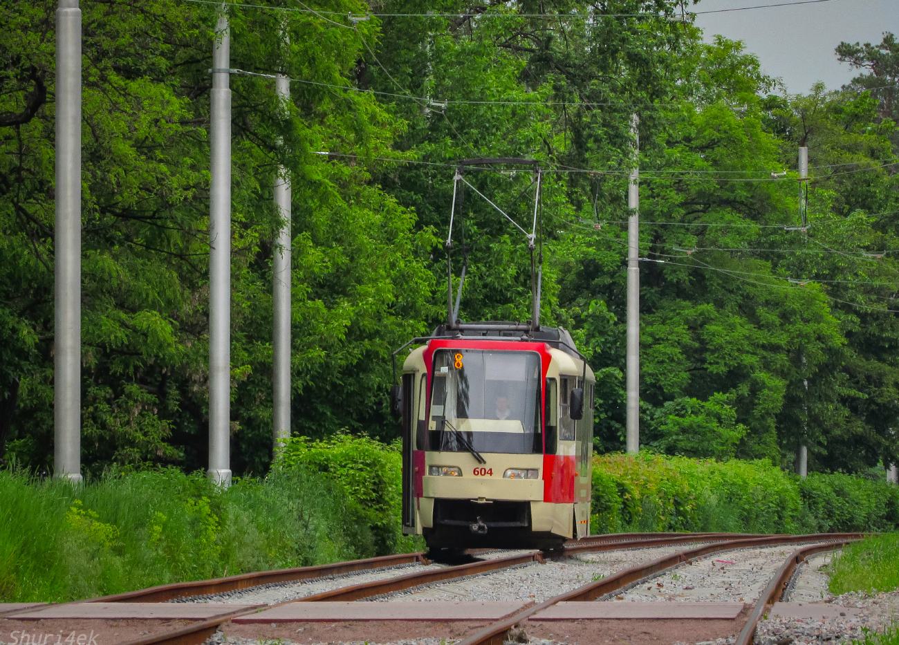 Киев, T3UA-3 «Каштан» № 604