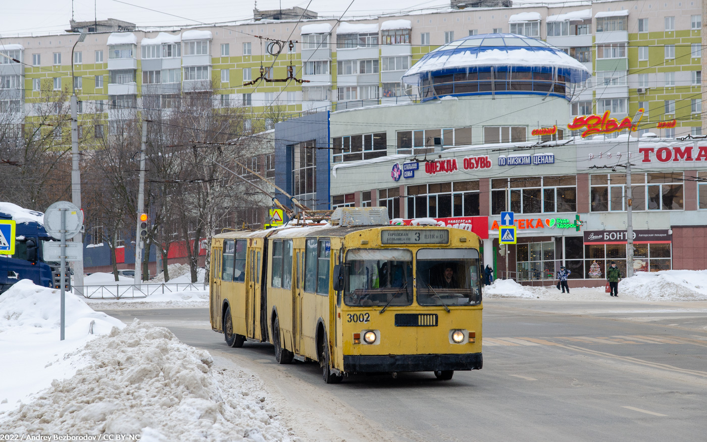 Рязань, ЗиУ-683Б [Б00] № 3002