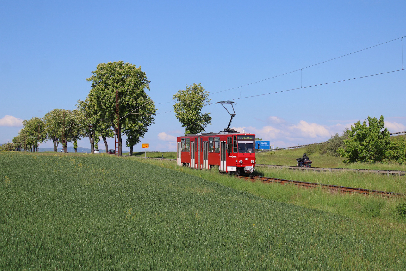 Гота, Tatra KT4DC № 310