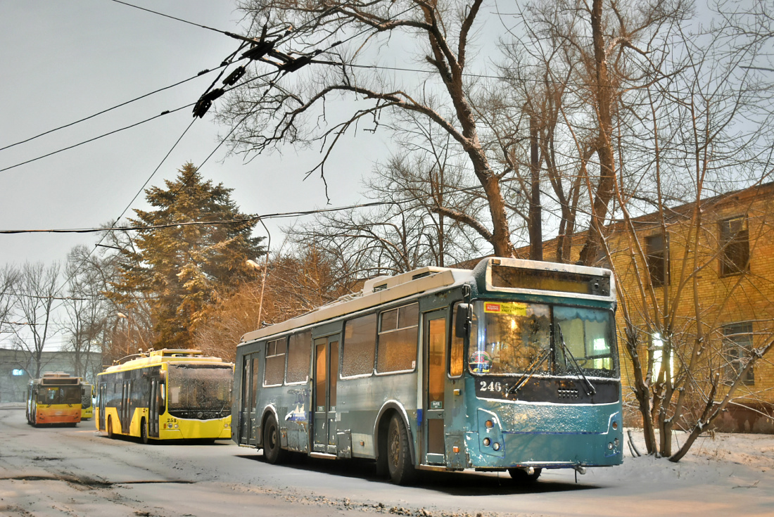 Владивосток, ЗиУ-682Г-016.02 № 246; Владивосток, ВМЗ-5298.01 «Авангард» № 258