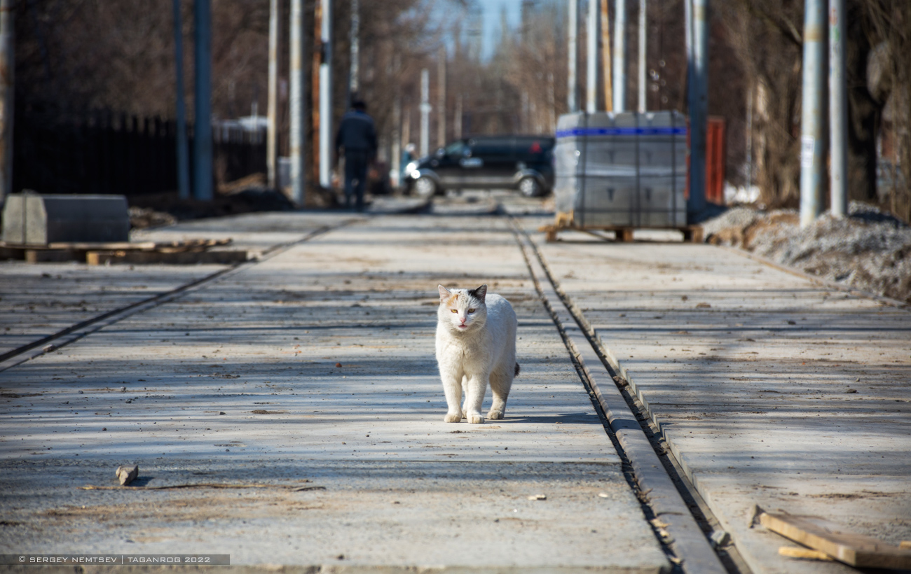 Taganrog — Miscellaneous photos; Taganrog — Repair of the tram line under the concession agreement. Stage #2; Transport and animals