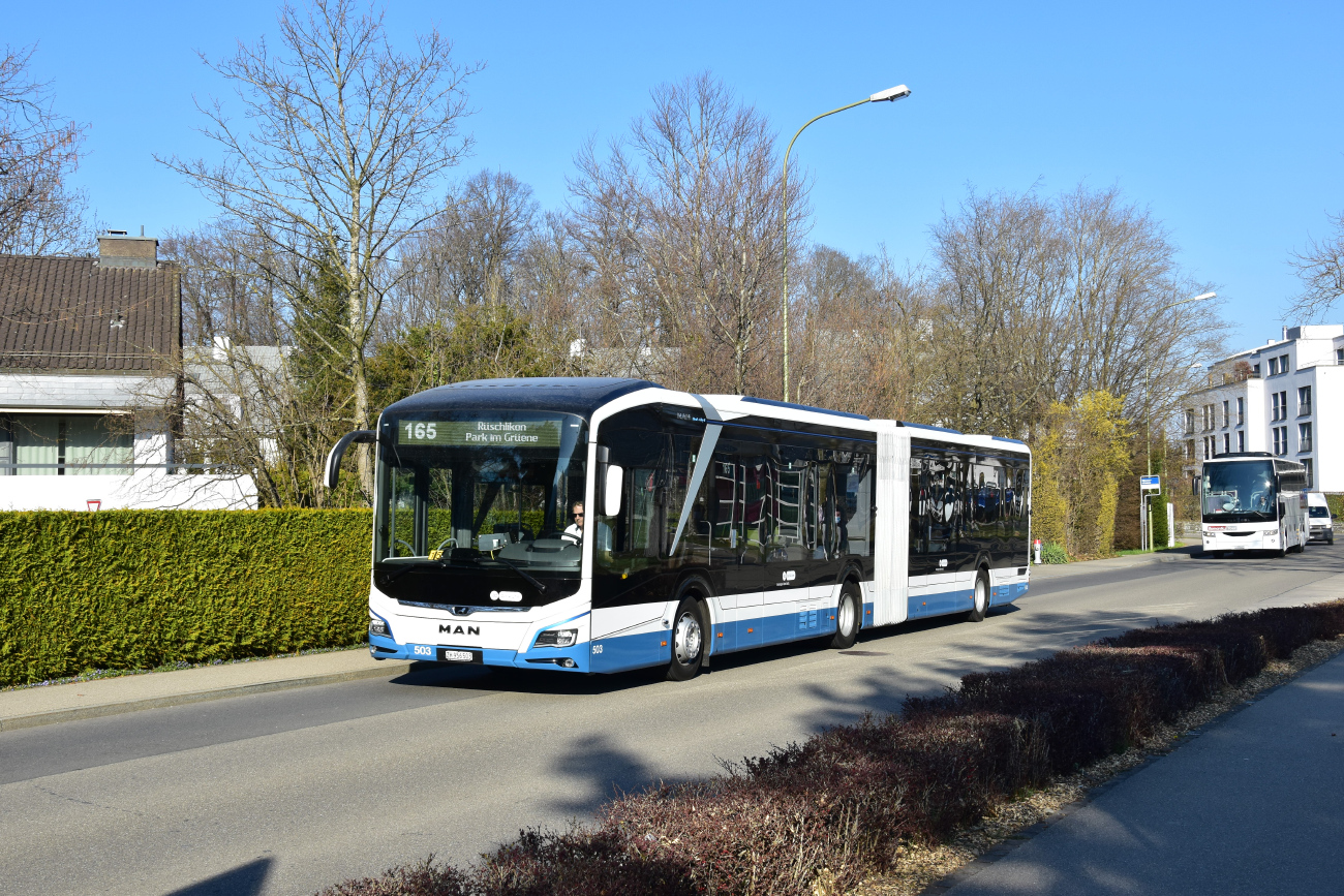 Цюрих, MAN 18C Lion's City 18 E NG734 № 503