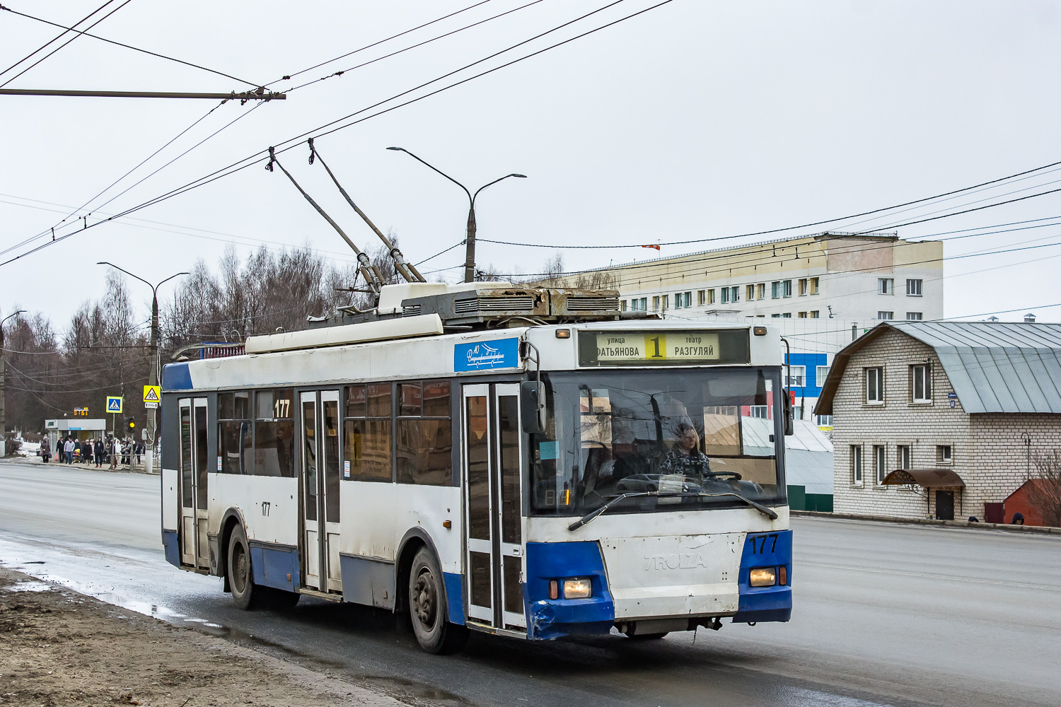 Владимир, Тролза-5275.05 «Оптима» № 177