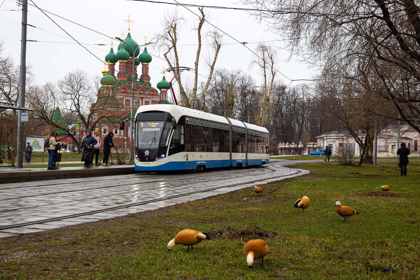 Moscow, 71-931M “Vityaz-M” № 31122; Transport and animals