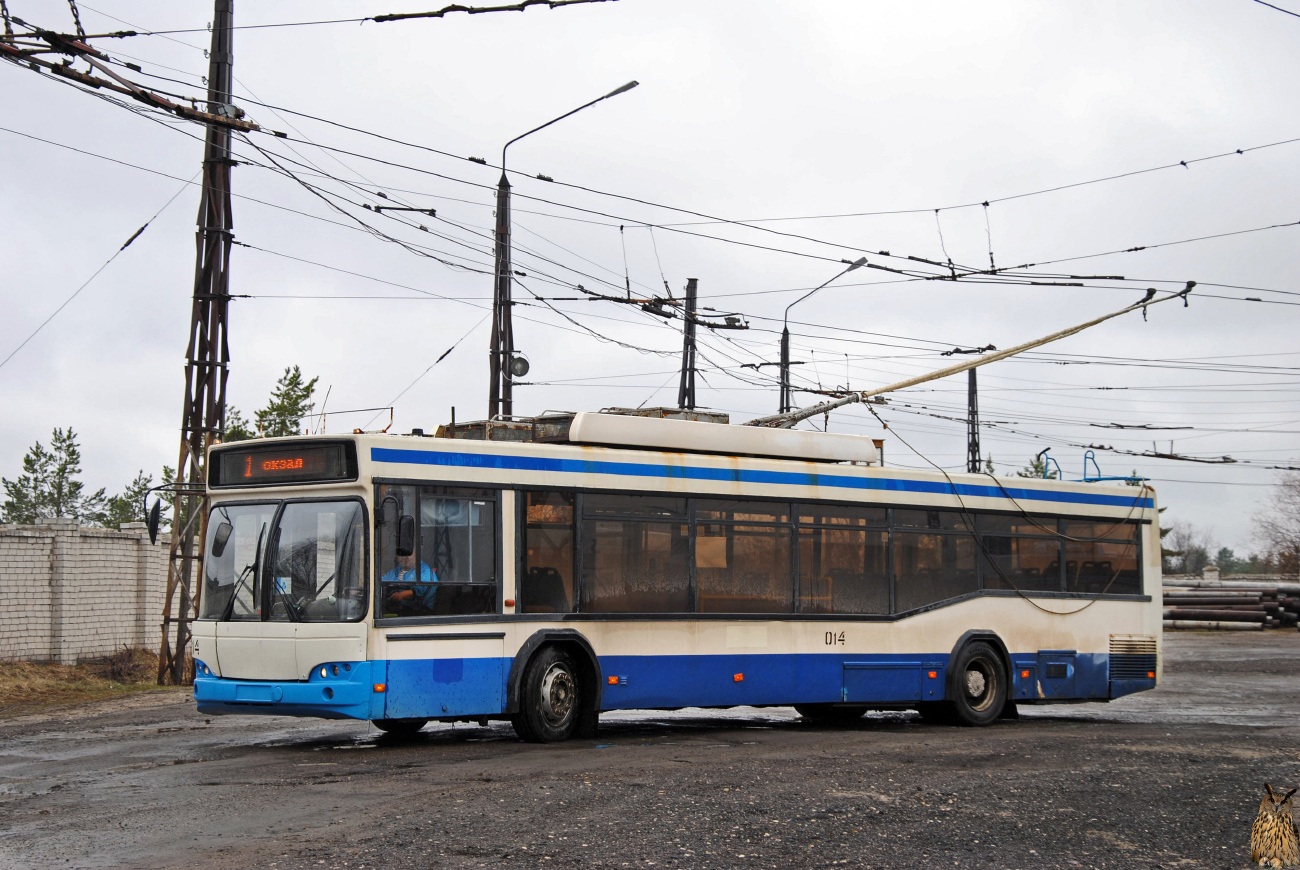 Дзержинск, СВАРЗ-МАЗ-6235.00 № 014