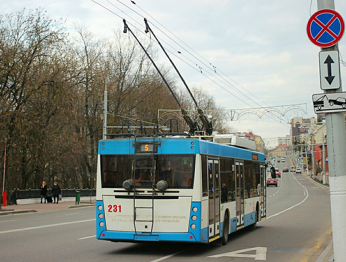 Витебск, МАЗ-203Т70 № 231