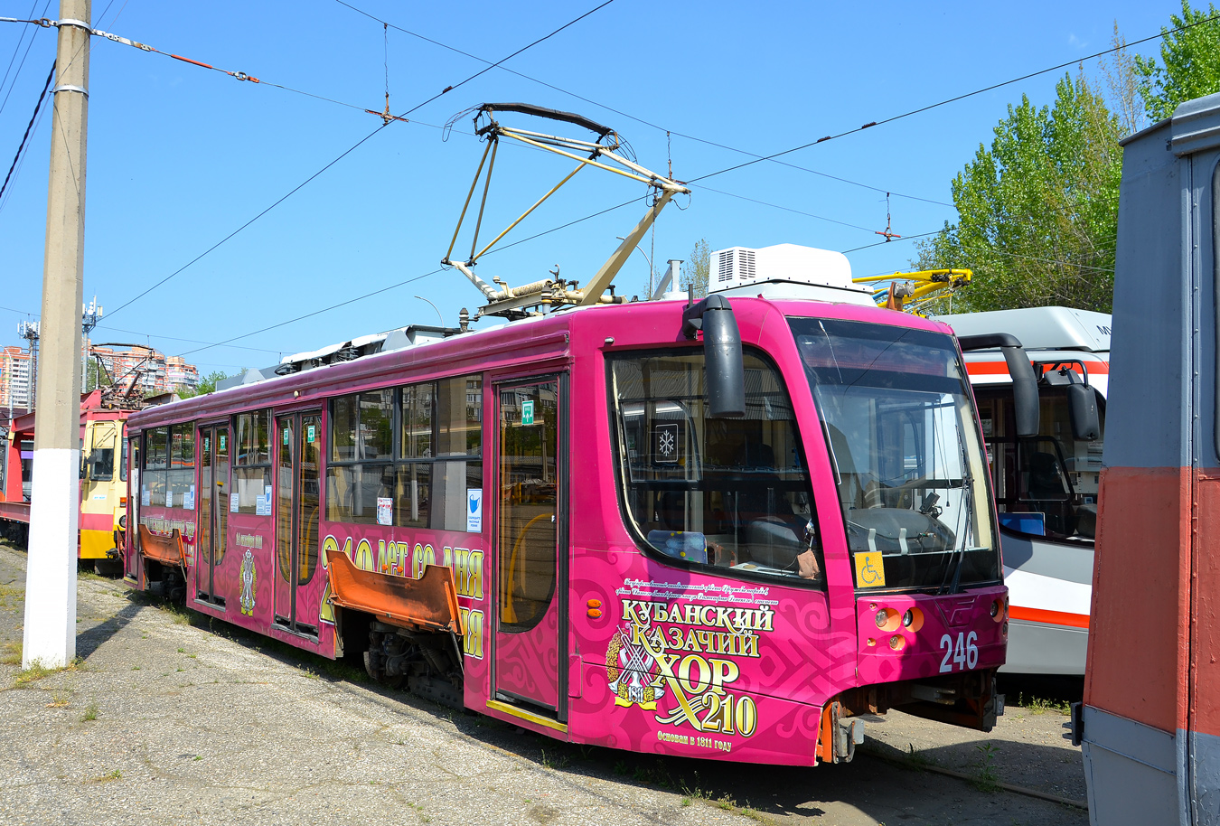 Краснодар, 71-623-01 № 246