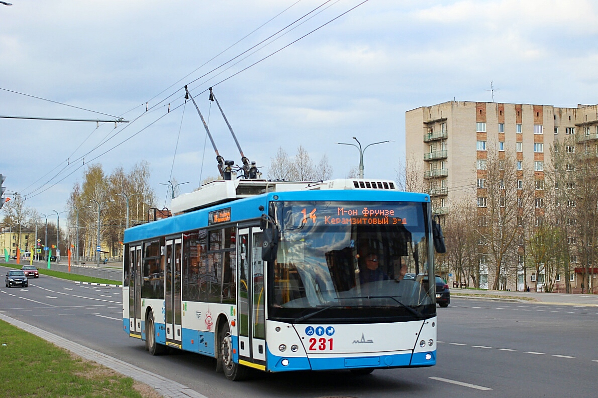 Витебск, МАЗ-203Т70 № 231