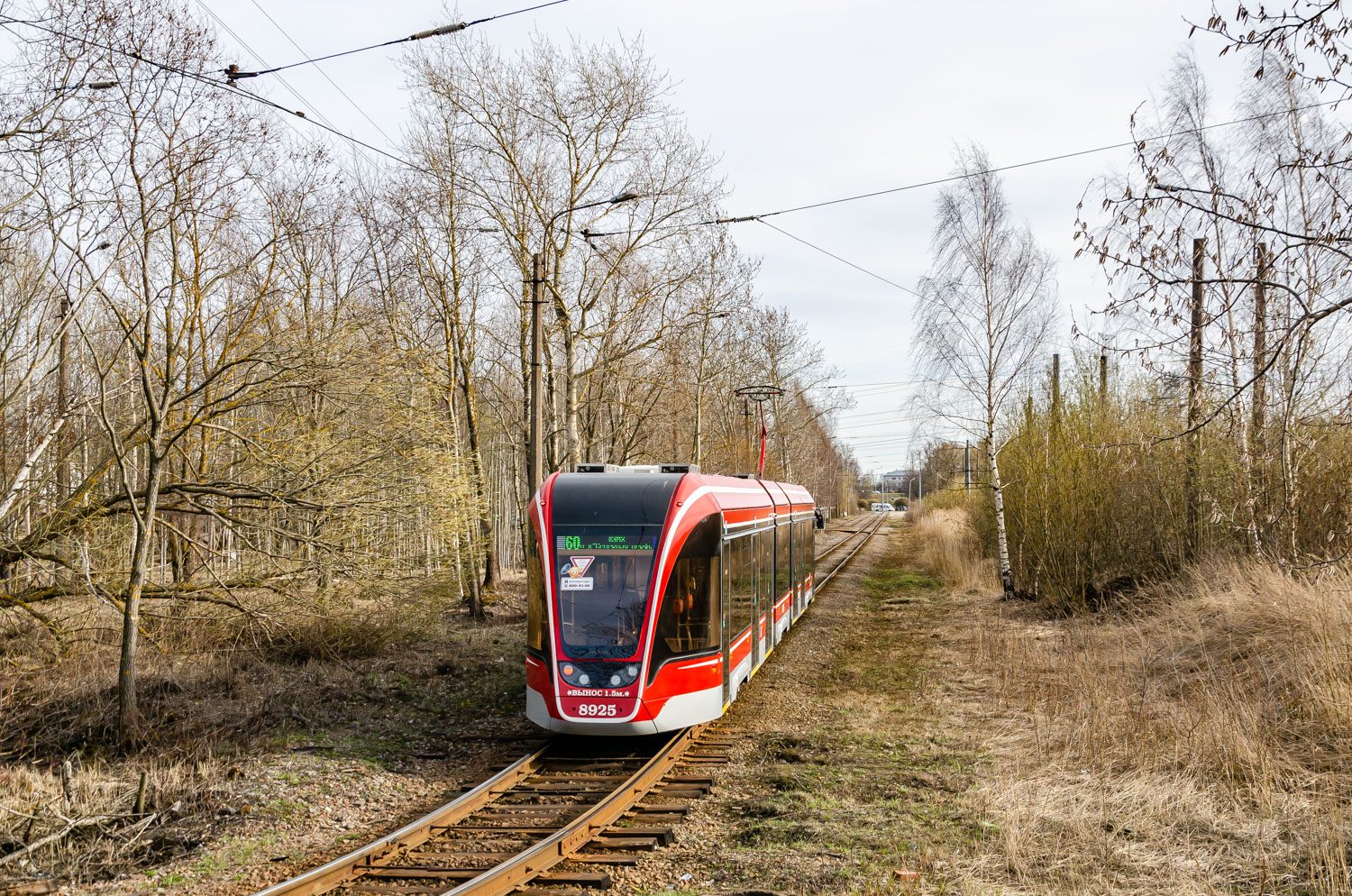 Санкт-Петербург, 71-931М «Витязь-М» № 8925