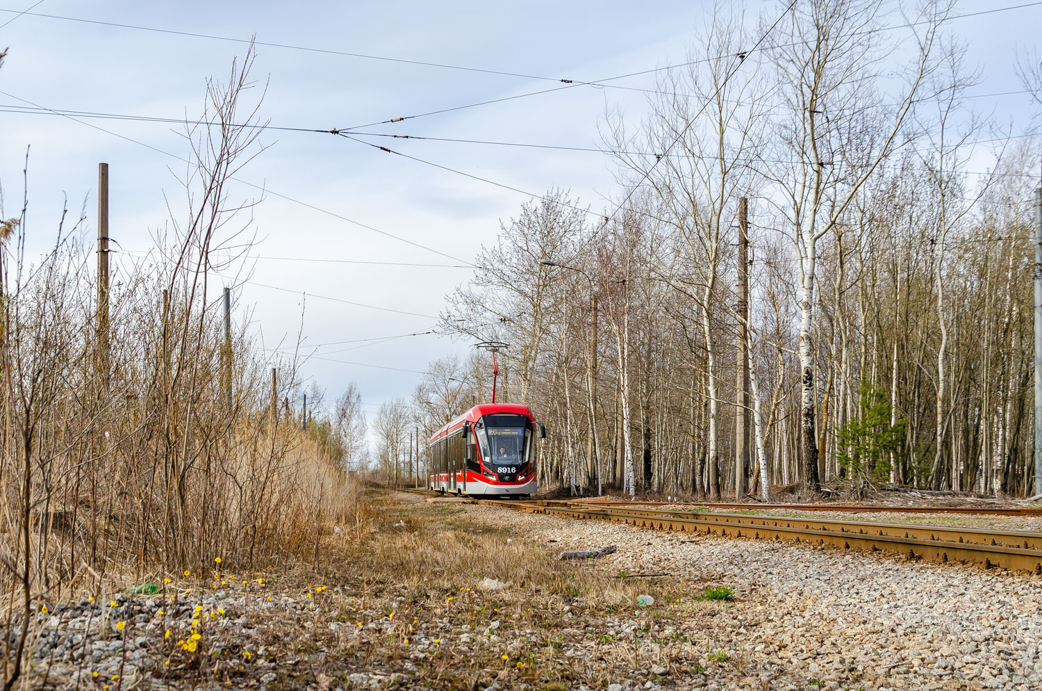 Sankt Peterburgas — Tram lines and infrastructure Sankt Peterburgas — Tram lines and infrastructure
