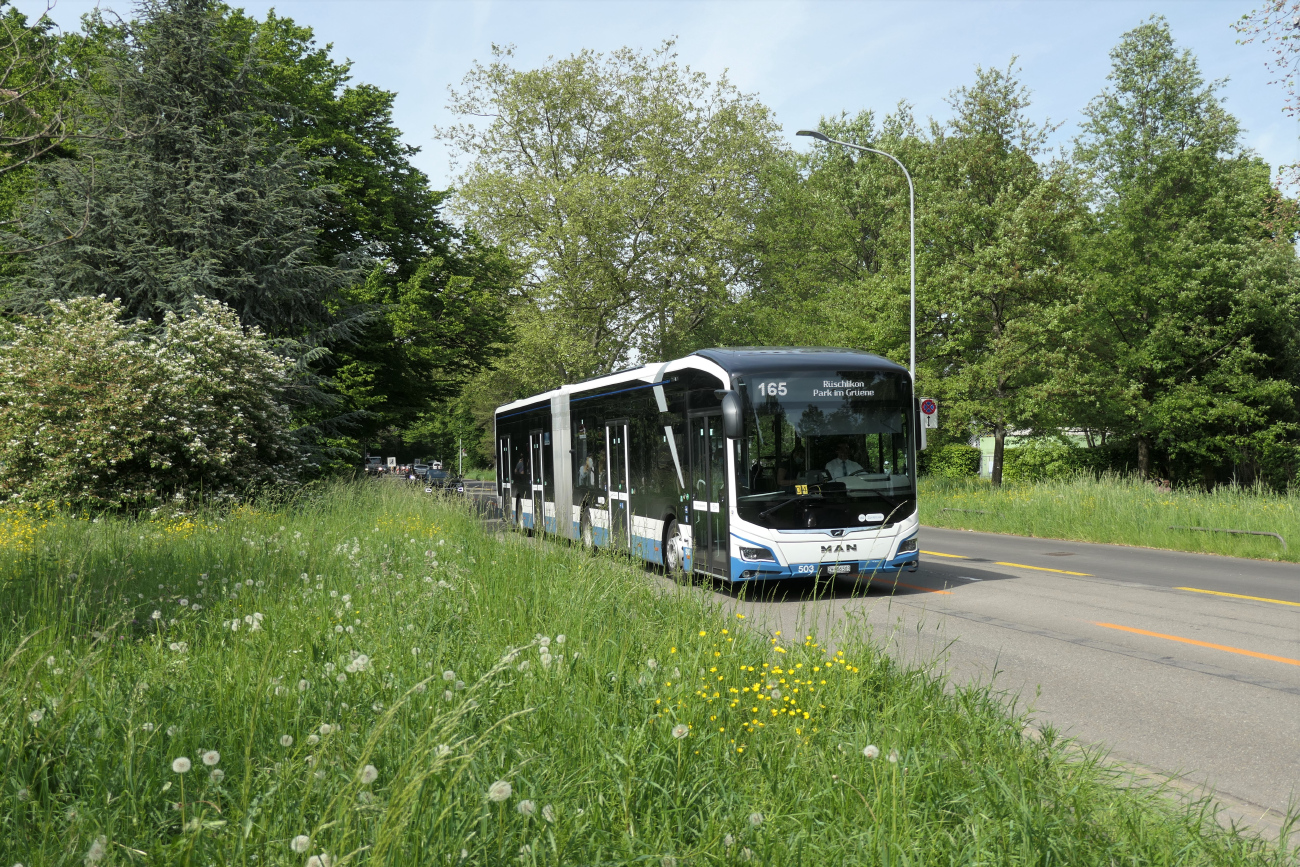 Цюрих, MAN 18C Lion's City 18 E NG734 № 503