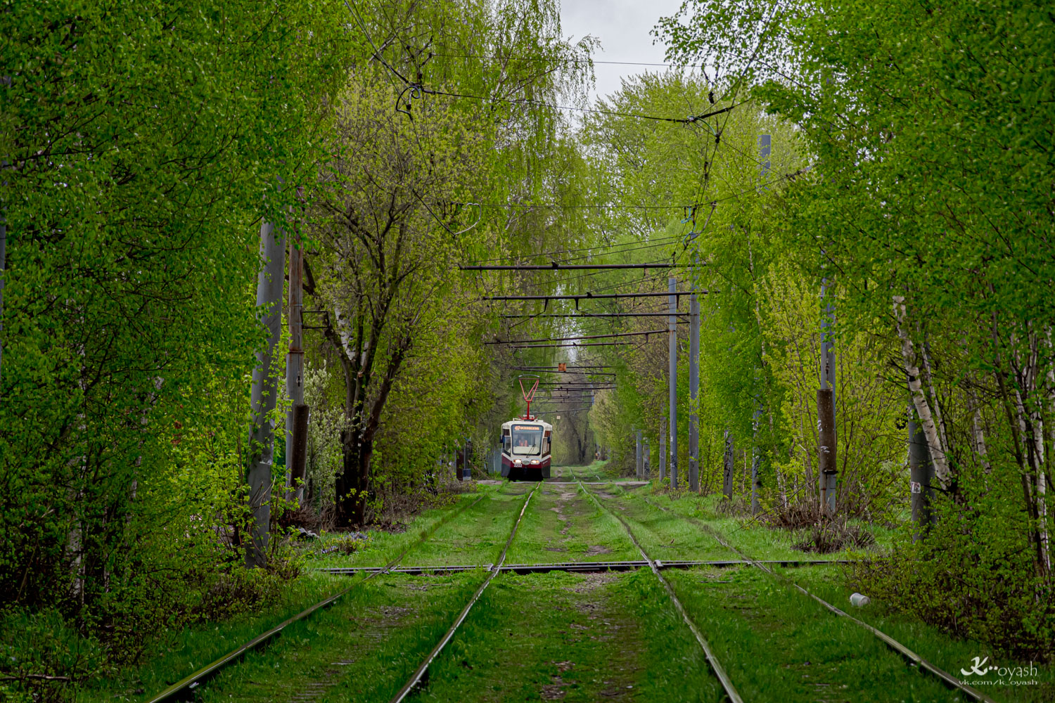 Nizhny Novgorod — Tram lines