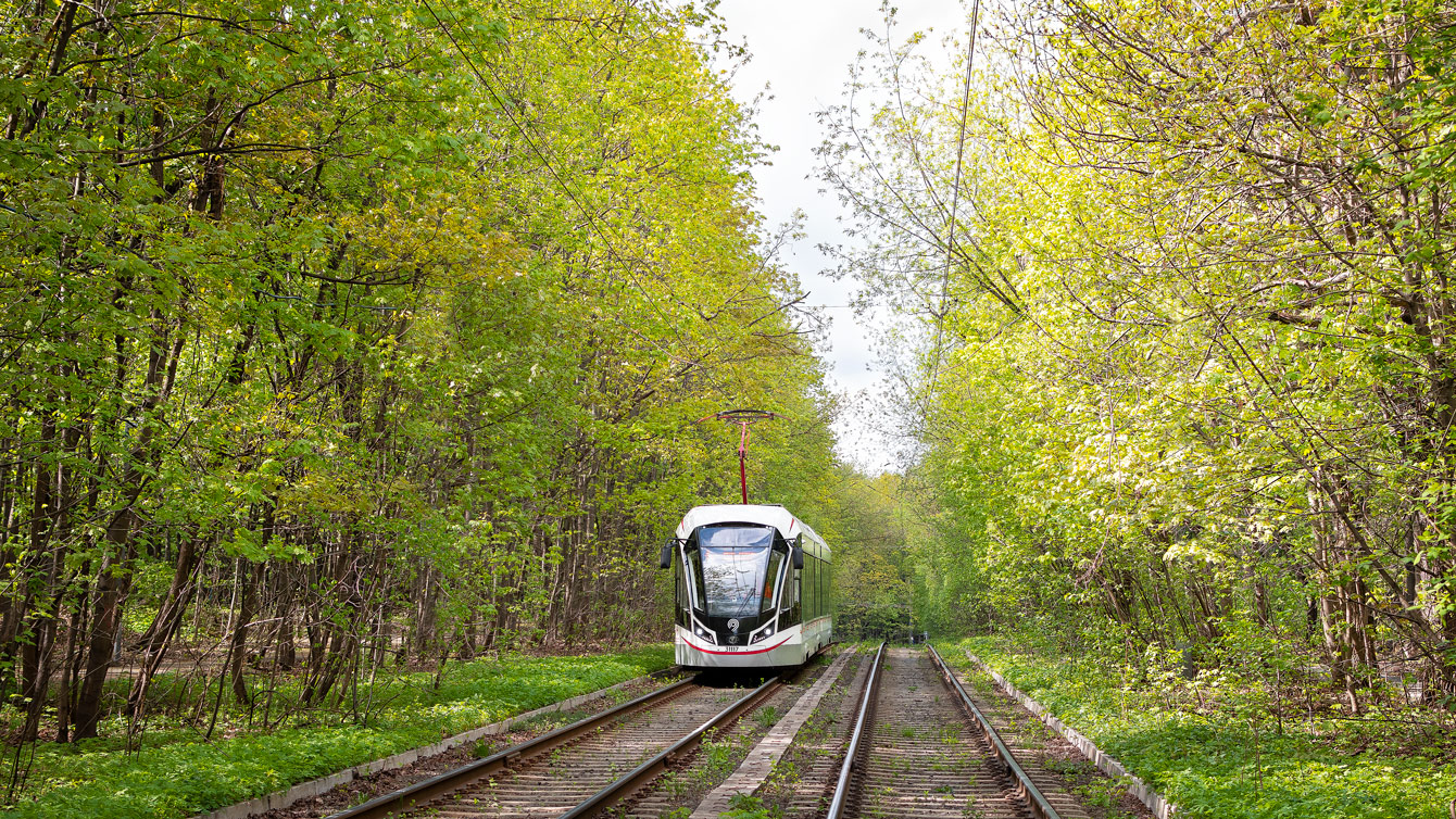 Москва, 71-931М «Витязь-М» № 31117