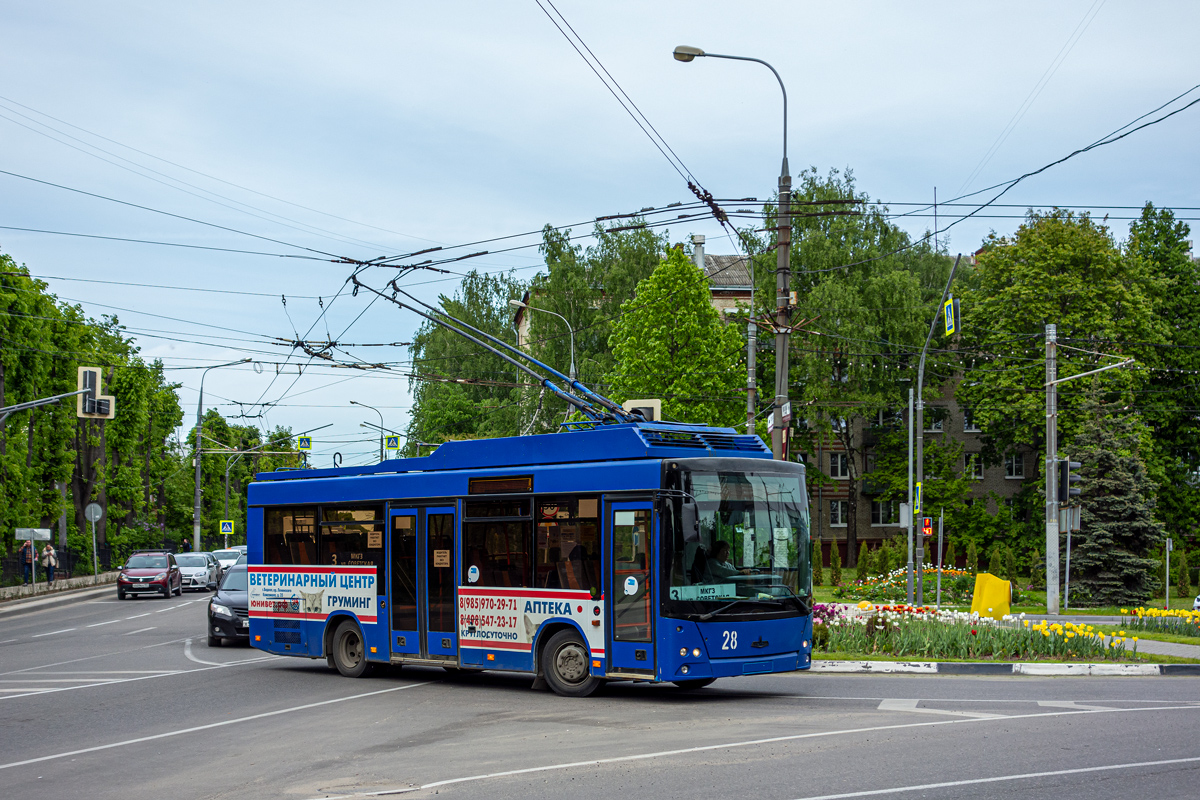 Віднае, МАЗ-206Т № 28