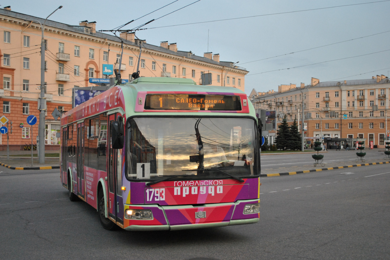 Homiel, BKM 321 # 1793