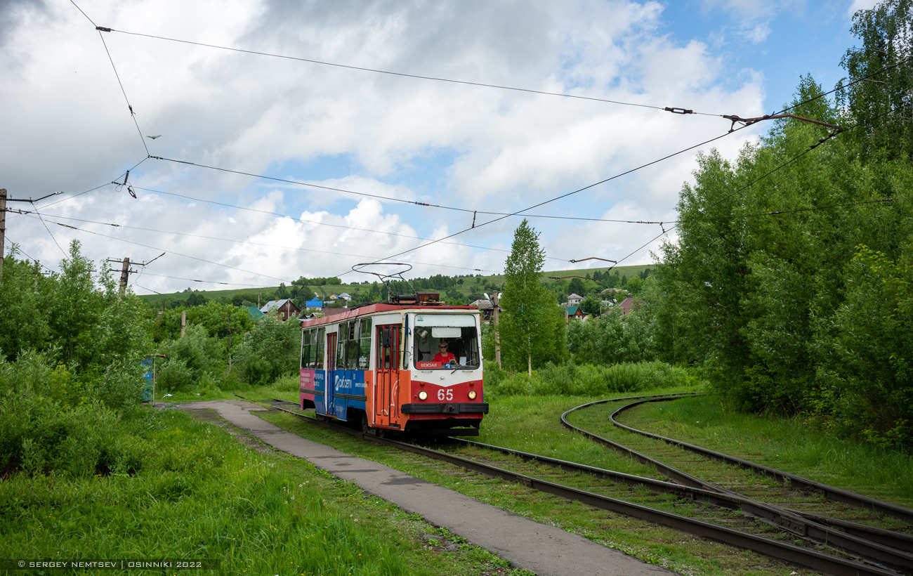 Осинники, 71-132 (ЛМ-93) № 65