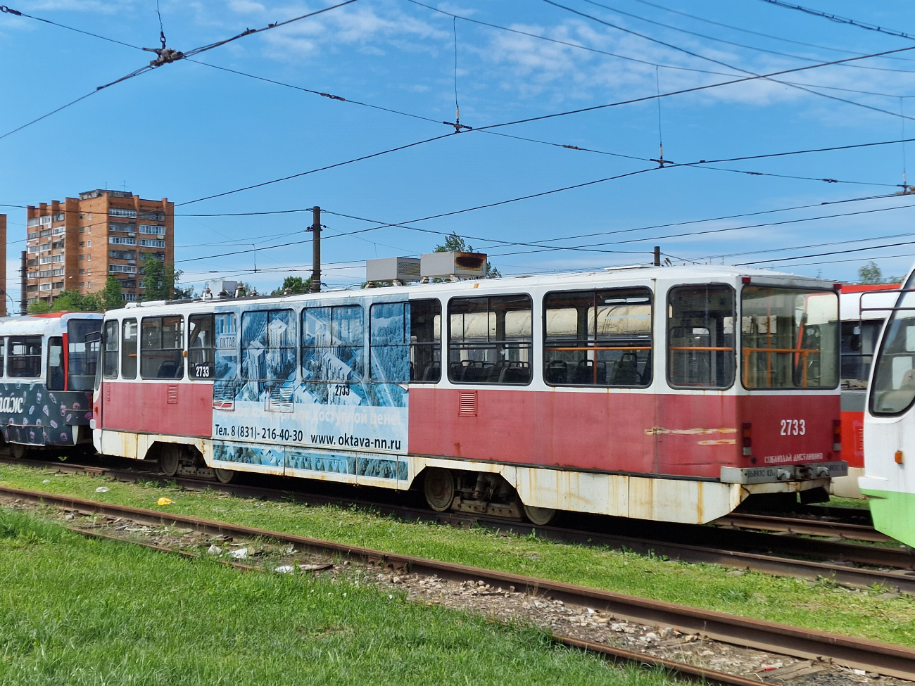 Нижний Новгород, 71-403 № 2733