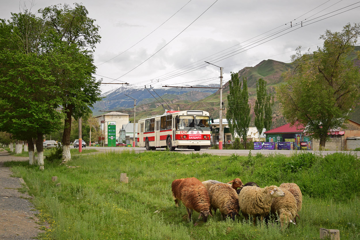 Нарын, ЗиУ-682Г-018 [Г0Р] № 1524; Транспорт и животные
