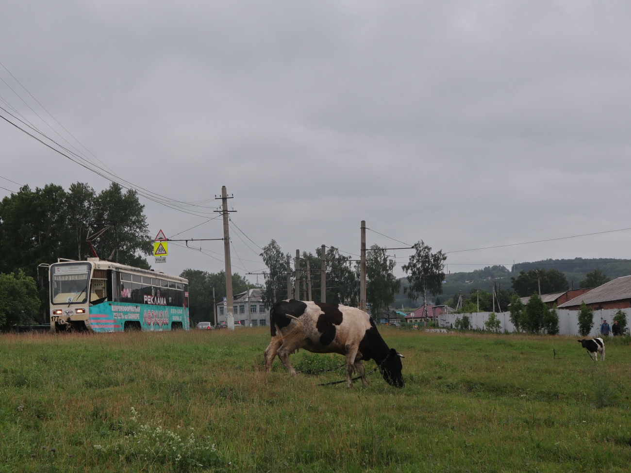 Прокопьевск, 71-619КТ № 177