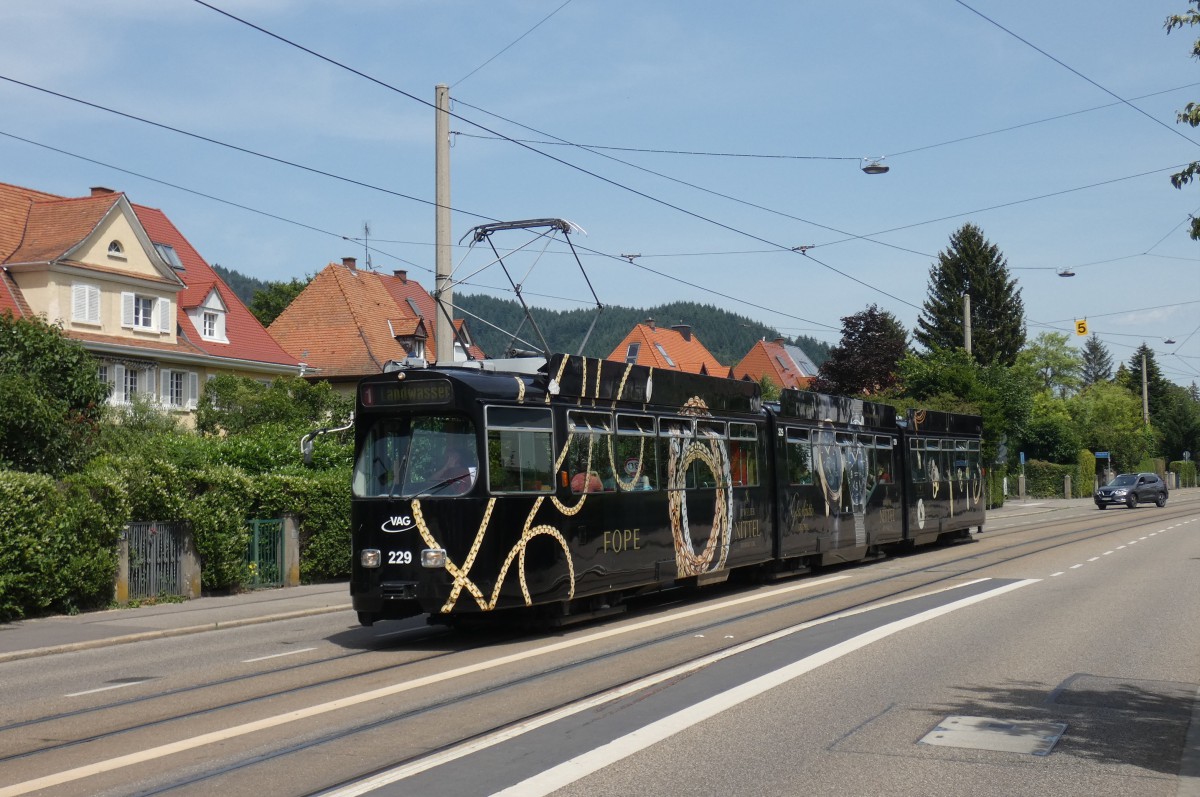 Фрайбург-в-Брайсгау, Duewag GT8NF № 229