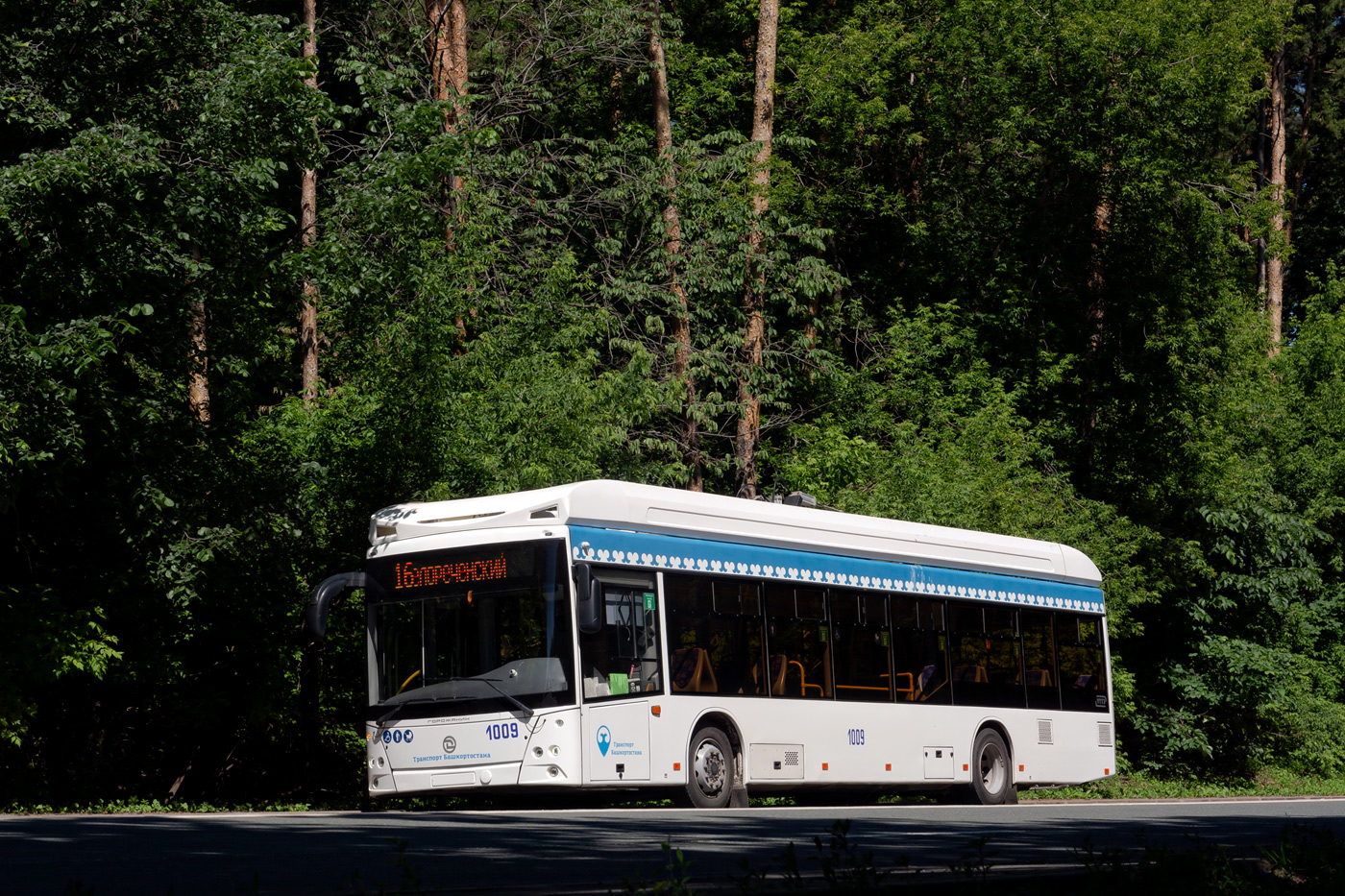 Уфа, УТТЗ-6241.01 «Горожанин» № 1009