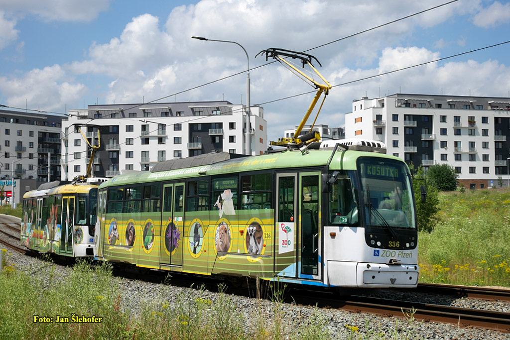 Пльзень, Vario LF+ № 336