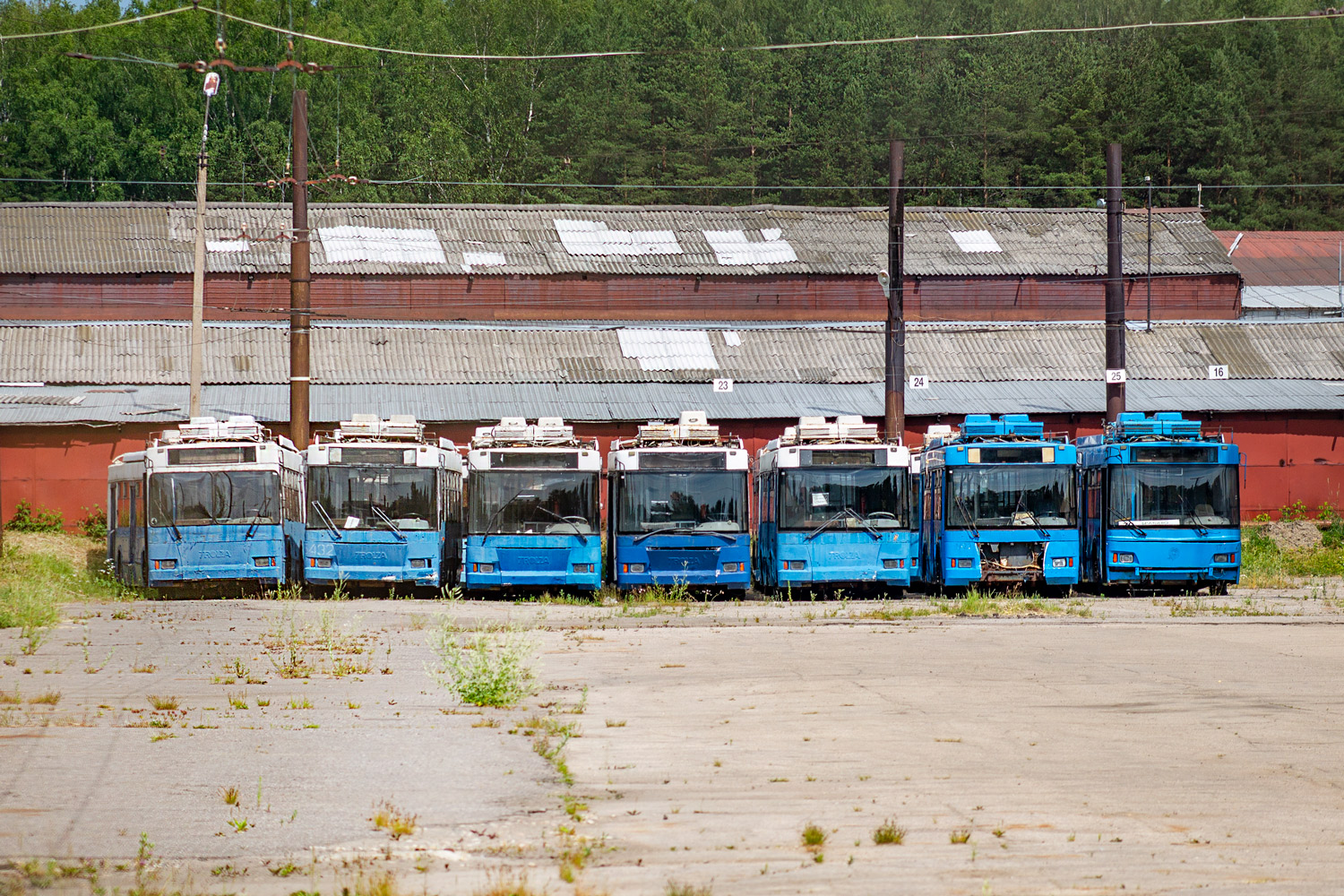 Кострома, Тролза-5275.05 «Оптима» № (5443); Кострома, Тролза-5275.05 «Оптима» № (5432); Кострома, Тролза-5275.05 «Оптима» № (5439); Кострома, Тролза-5275.05 «Оптима» № (5434); Кострома, Тролза-5275.05 «Оптима» № (5440); Кострома, Тролза-5275.05 «Оптима» № (1423); Кострома, Тролза-5275.05 «Оптима» № 46