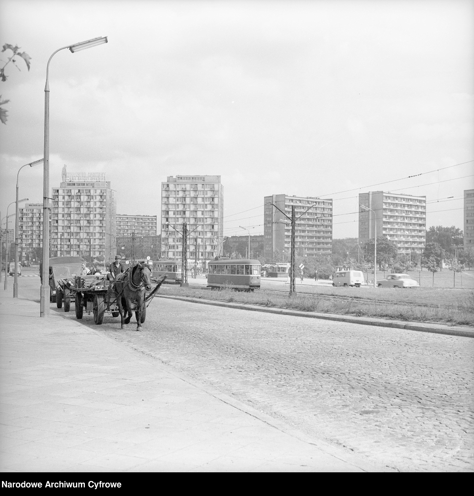 Варшава, Konstal 13N № 521; Транспорт и животные