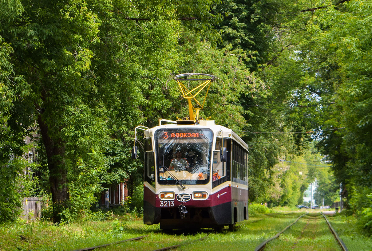 Нижний Новгород, 71-619А-01 № 3213