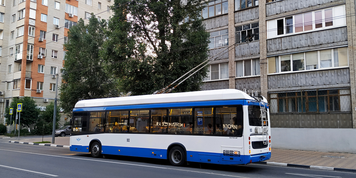 Rostov-na-Donu, UTTZ-6241-10-02 “Gorozhanin” № 103
