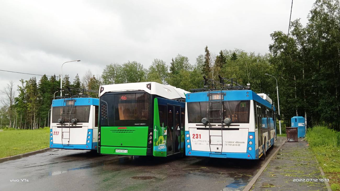 Vitebska, MAZ-203T70 № 231