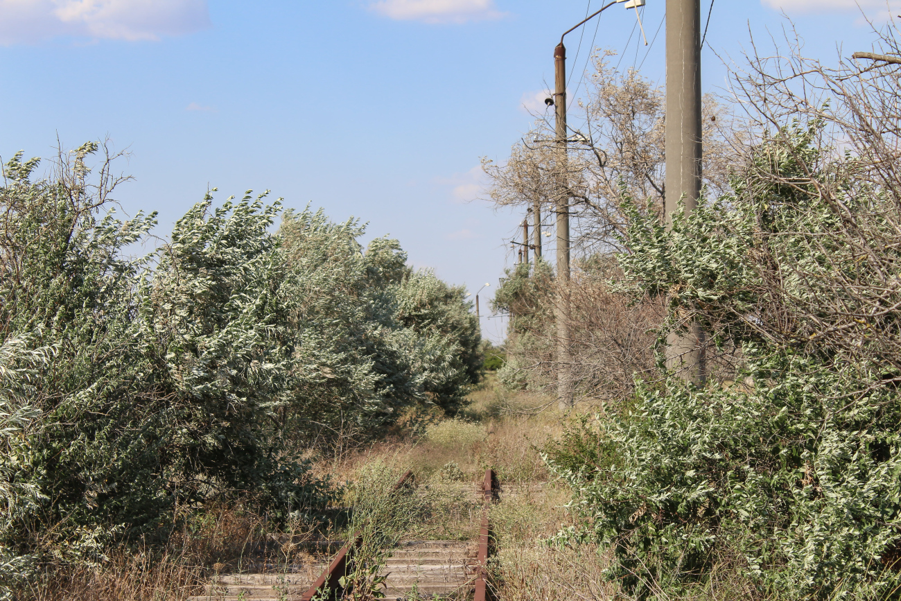 Молочное — Разные фотографии