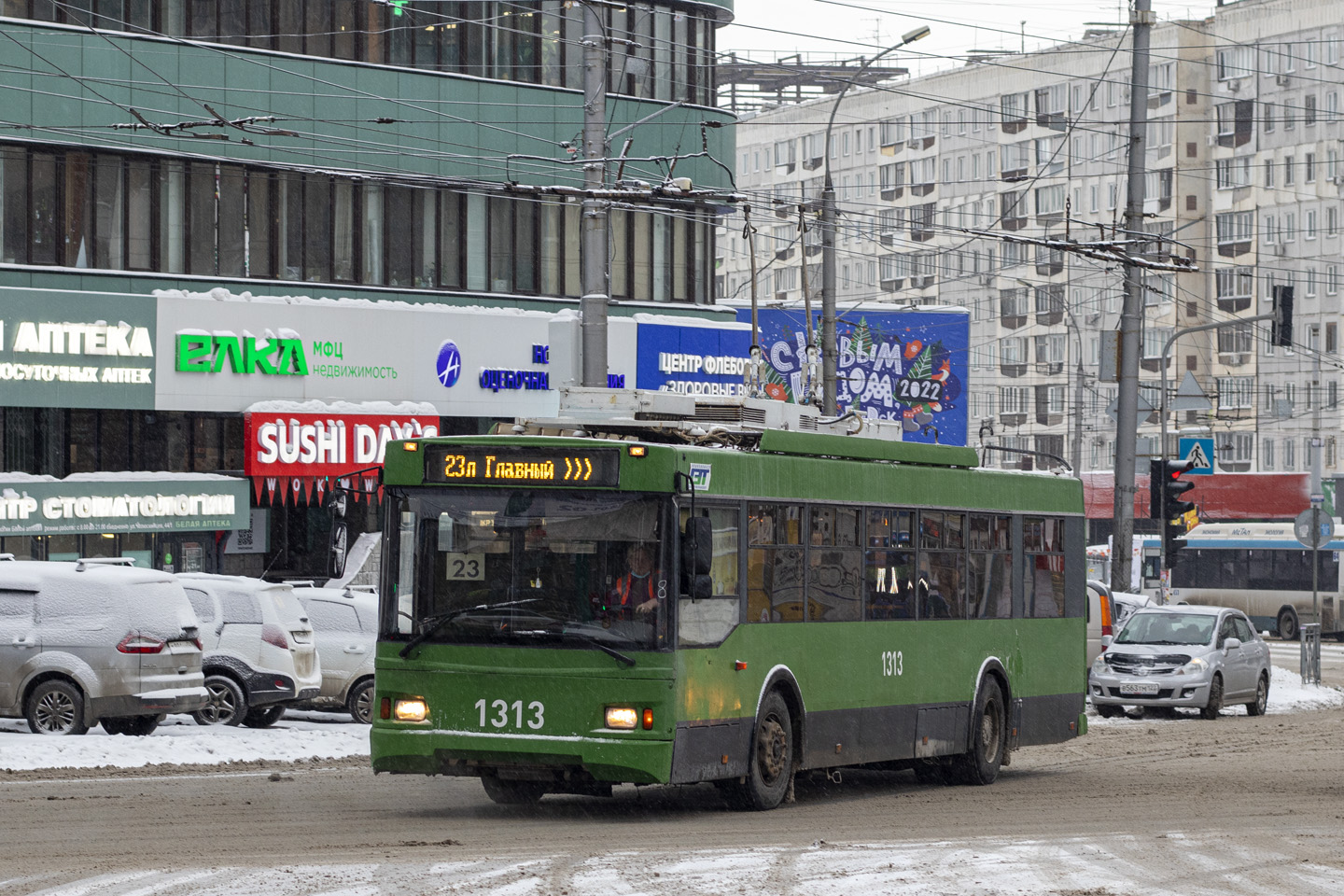 Новосибирск, Тролза-5275.03 «Оптима» № 1313
